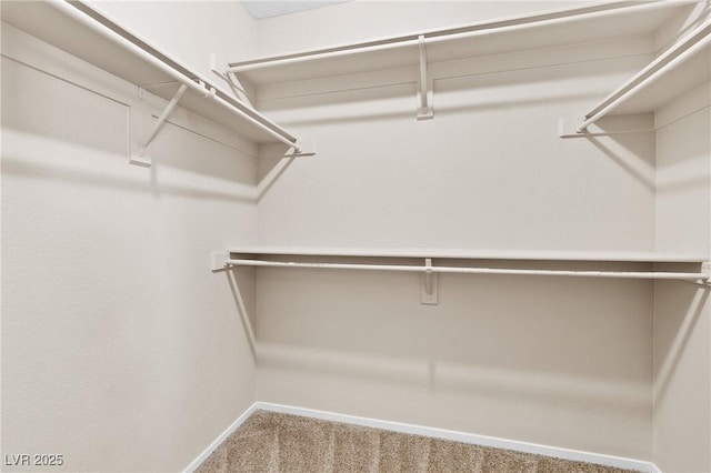 5307 Wild Orchid St, North Las Vegas, NV 89031 - walk in closet with carpet floors