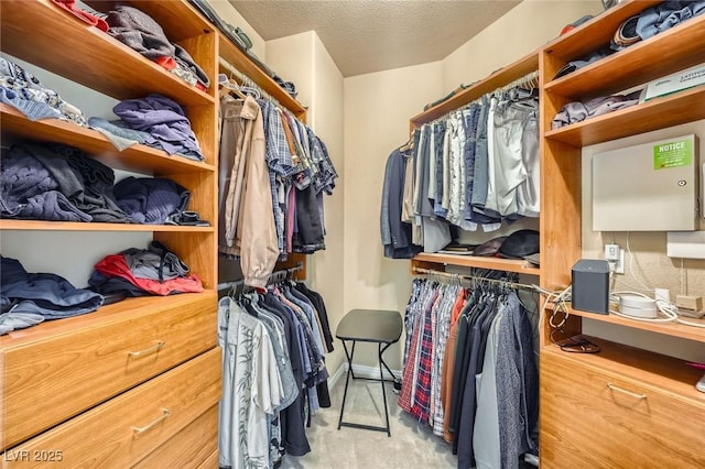 4719 Riva De Romanza St, Las Vegas, NV 89135 - walk in closet with carpet flooring