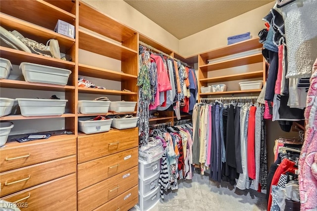 4719 Riva De Romanza St, Las Vegas, NV 89135 - spacious closet featuring carpet flooring