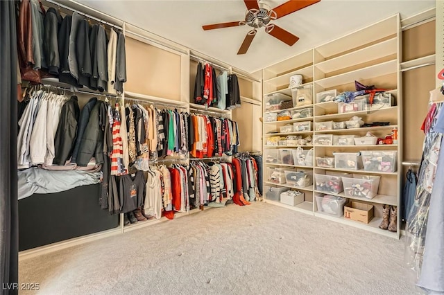 4719 Riva De Romanza St, Las Vegas, NV 89135 - walk in closet featuring a ceiling fan and carpet floors