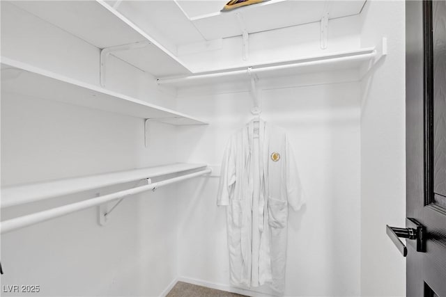 7621 Hackensack Ct, Las Vegas, NV 89128 - view of walk in closet