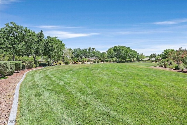 7408 Via Fiorentino St, Las Vegas, NV 89131 - view of grassy yard