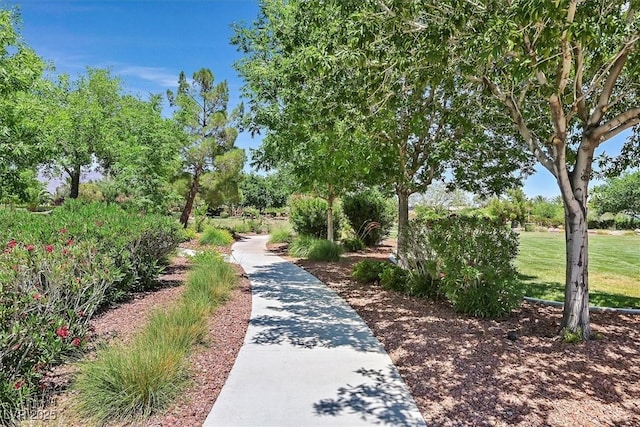 7408 Via Fiorentino St, Las Vegas, NV 89131 - view of home's community featuring a lawn