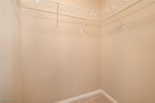 6402 Parrot Ridge Ct, Las Vegas, NV 89139 - walk in closet featuring carpet flooring