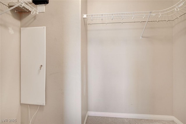 6402 Parrot Ridge Ct, Las Vegas, NV 89139 - spacious closet with carpet floors