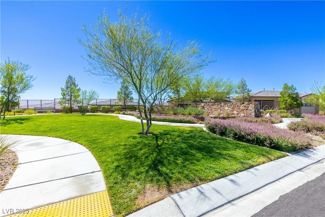 12404 Aster Hills Ave, Las Vegas, NV 89138 - view of home's community