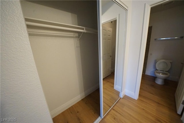 2606 S Durango Dr Unit 165, Las Vegas, NV 89117 - view of closet