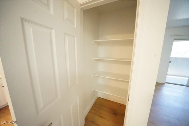 2606 S Durango Dr Unit 165, Las Vegas, NV 89117 - view of closet