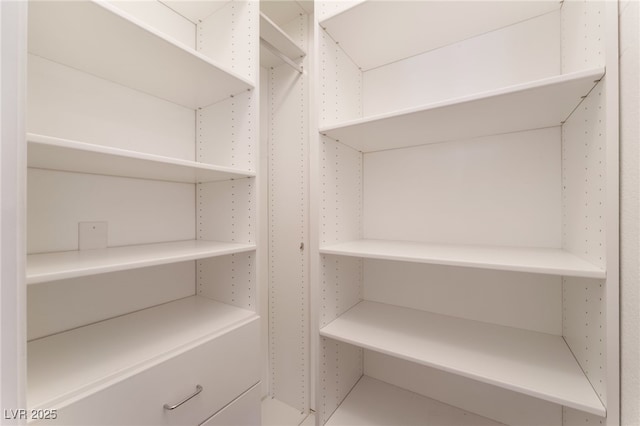 9025 Loggers Mill Ave, Las Vegas, NV 89143 - view of walk in closet