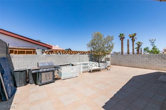 1905 Eskam St, Las Vegas, NV 89156 - fenced backyard with a patio area and grilling area