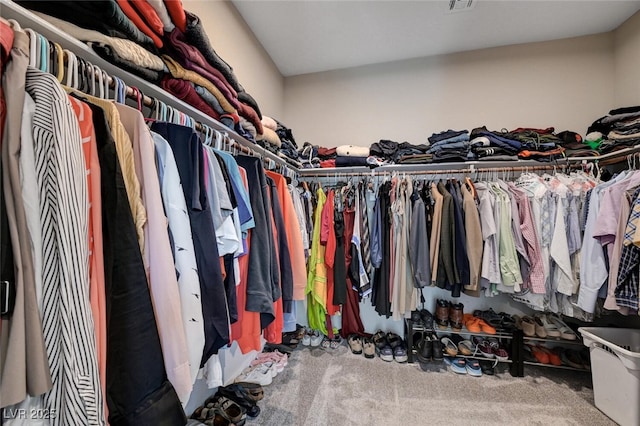 2651 Deep Canyon St, Henderson, NV 89044 - walk in closet with carpet flooring