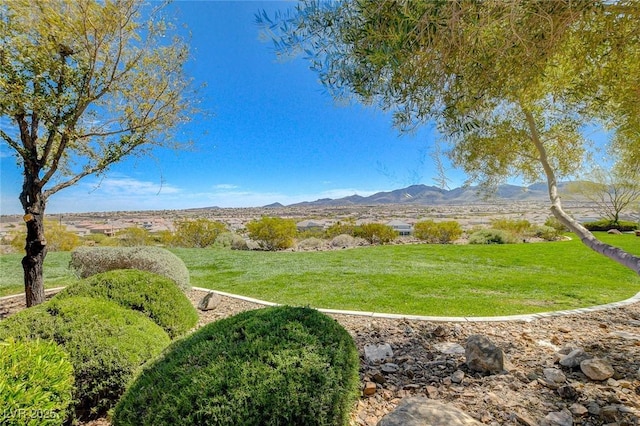 2651 Deep Canyon St, Henderson, NV 89044 - view of grassy yard with a mountain view
