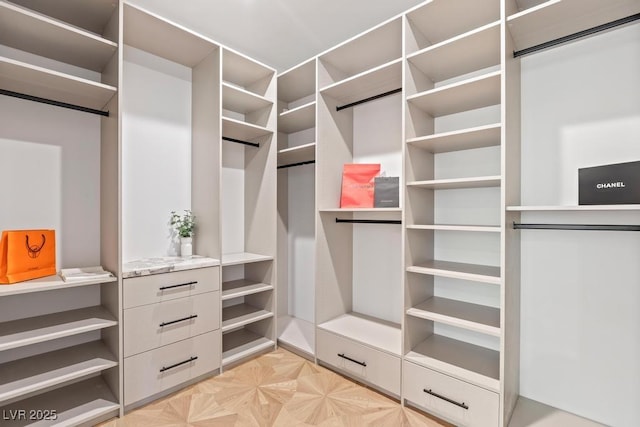 11926 Port Labelle Dr, Las Vegas, NV 89141 - view of spacious closet