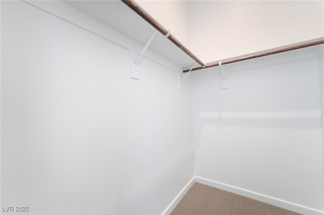 2501 Indigo Mountain St, Henderson, NV 89044 - walk in closet with light carpet