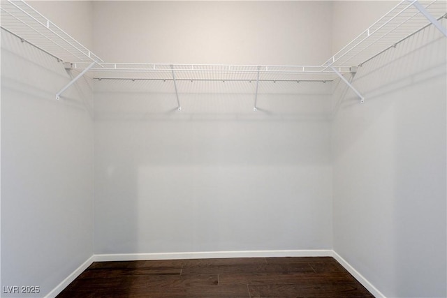 8255 S Las Vegas Blvd Unit 1816, Las Vegas, NV 89123 - walk in closet with dark wood-style flooring