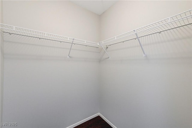 8255 S Las Vegas Blvd Unit 1816, Las Vegas, NV 89123 - walk in closet with dark wood-type flooring