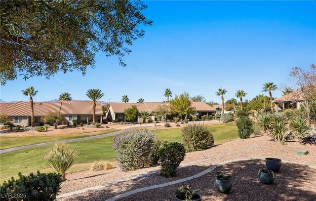 1187 Mohave Dr, Mesquite, NV 89027 - photo 35