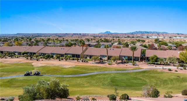 1187 Mohave Dr, Mesquite, NV 89027 - photo 66
