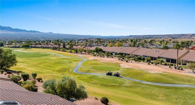 1187 Mohave Dr, Mesquite, NV 89027 - photo 67
