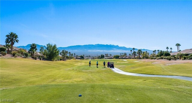 1187 Mohave Dr, Mesquite, NV 89027 - photo 73