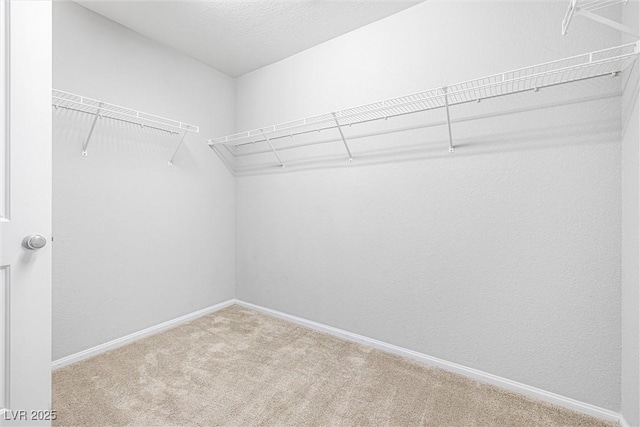 3188 Via Da Vinci, Henderson, NV 89044 - spacious closet with carpet