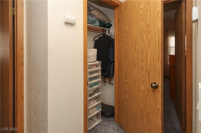 3236 Manzanita Ln, Laughlin, NV 89029 - view of closet
