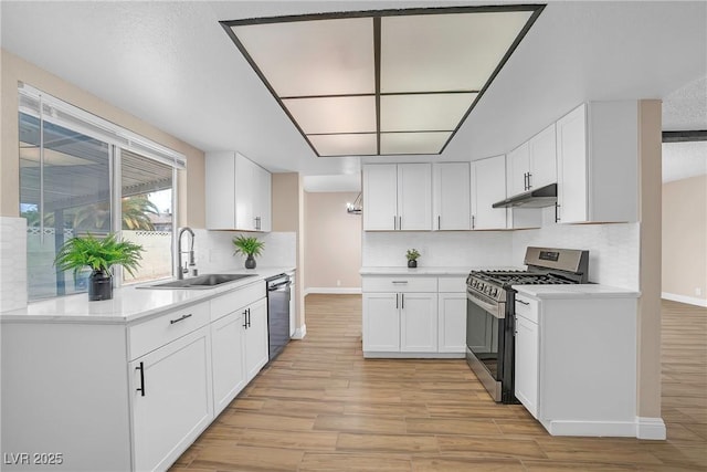 4431 El Campana Way, Las Vegas, NV 89121 - kitchen with stainless steel appliances, a sink, under cabinet range hood, light wood finished floors, and decorative backsplash