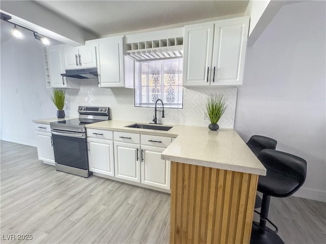 1608 E Mcdonald Ave, North Las Vegas, NV 89030 - kitchen featuring stainless steel electric range, under cabinet range hood, a sink, and light wood-style flooring