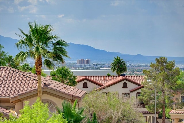 3192 Tullio Way, Henderson, NV 89052 - photo 53