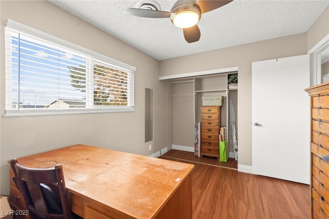 6612 Elton Ave, Las Vegas, NV 89107 - office area featuring wood finished floors, a textured ceiling, a ceiling fan, and baseboards