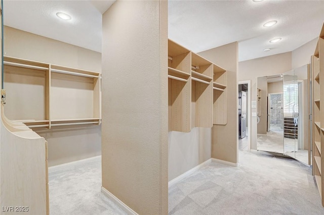 8113 Gothic Ave, Las Vegas, NV 89117 - spacious closet with carpet