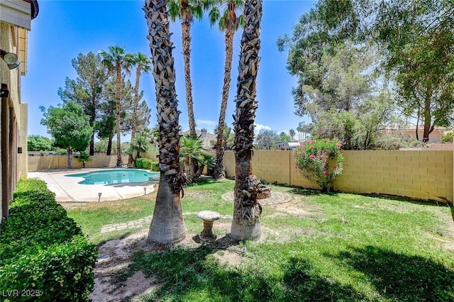 8113 Gothic Ave, Las Vegas, NV 89117 - view of yard