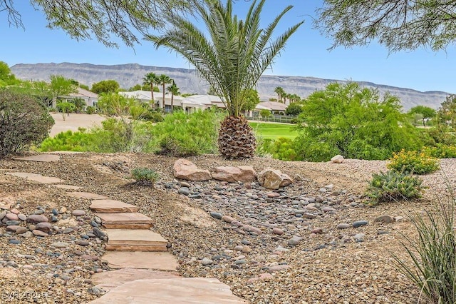 4311 Fiore Bella Blvd, Las Vegas, NV 89135 - view of yard featuring a mountain view