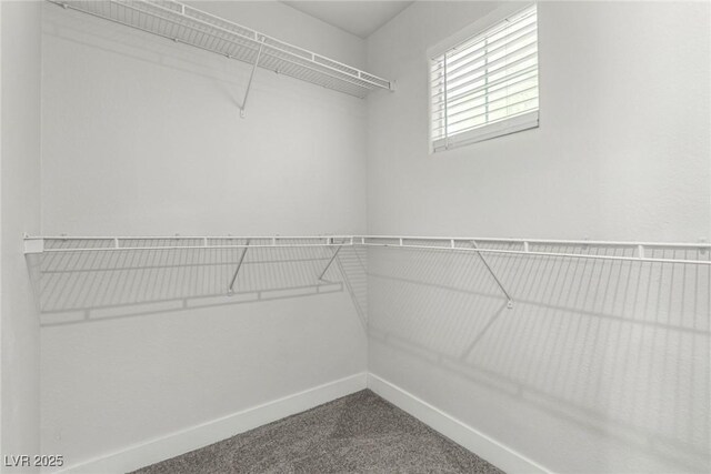 4028 Spring Line St, North Las Vegas, NV 89032 - photo 21