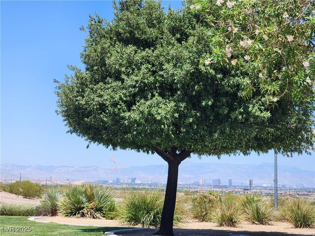 987 Wembly Hills Pl, Henderson, NV 89011 - photo 37