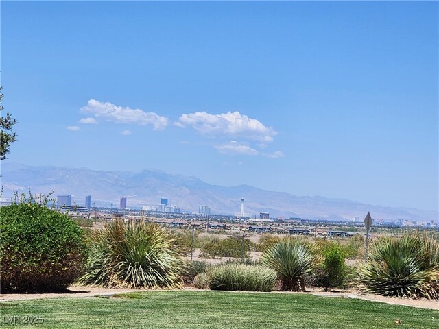 987 Wembly Hills Pl, Henderson, NV 89011 - photo 38
