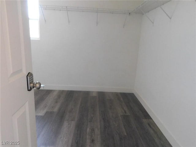 11173 Hickory Glen St, Las Vegas, NV 89179 - walk in closet featuring wood finished floors
