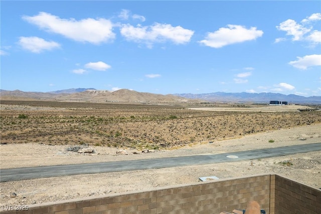 2343 Teatro Ave, Henderson, NV 89044 - photo 33