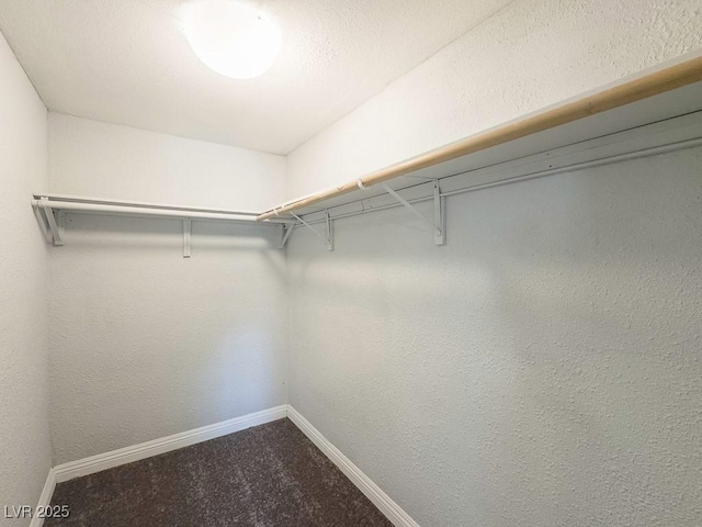 2713 Valley St, Las Vegas, NV 89101 - walk in closet with dark carpet