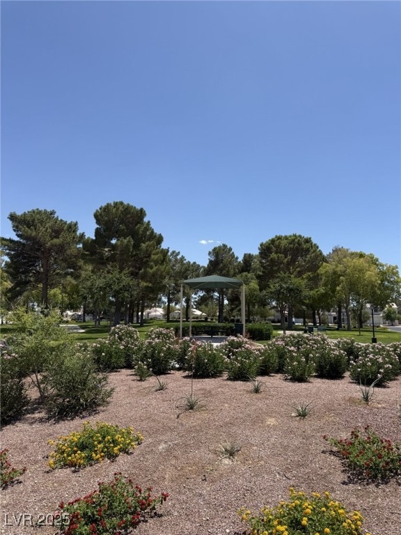 7657 Velvet Mist St, Las Vegas, NV 89131 - photo 17