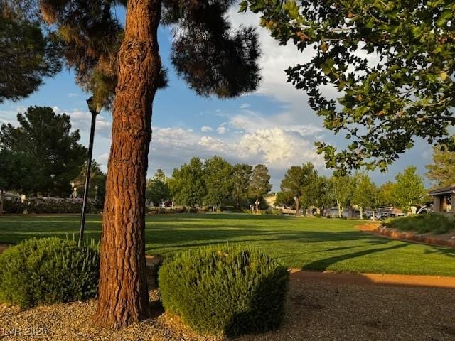 2419 Pebble Springs Ct, Henderson, NV 89074 - view of community featuring a yard