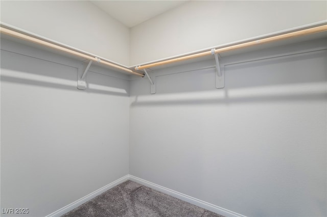 7732 Bandon Cliffs St, North Las Vegas, NV 89084 - walk in closet featuring carpet flooring