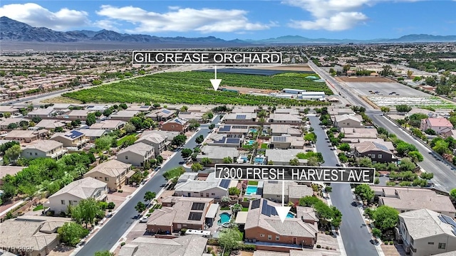 7300 Fresh Harvest Ave, Las Vegas, NV 89131 - photo 50