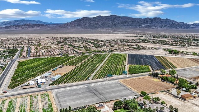 7300 Fresh Harvest Ave, Las Vegas, NV 89131 - photo 51