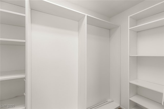 6480 Chebec St, North Las Vegas, NV 89084 - view of walk in closet