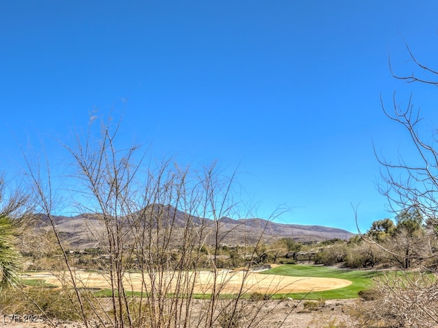 1 Ibis Ct, Henderson, NV 89052 - photo 11