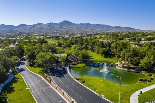 1 Ibis Ct, Henderson, NV 89052 - photo 71