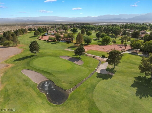 1587 Bermuda Dunes Dr, Boulder City, NV 89005 - photo 72