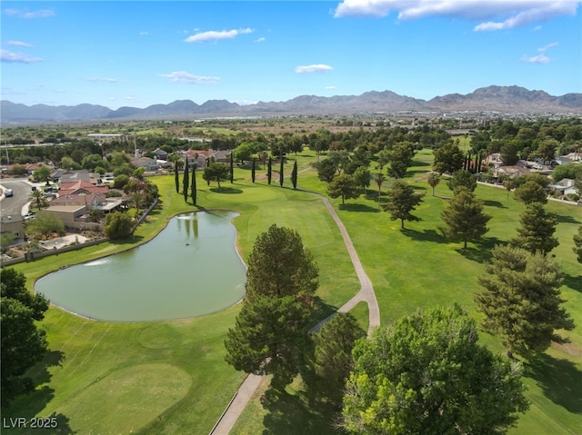 1587 Bermuda Dunes Dr, Boulder City, NV 89005 - photo 74