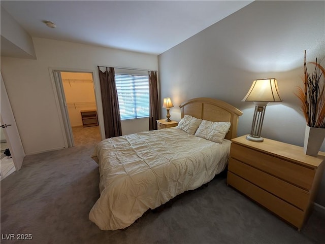 9000 Las Vegas Blvd Unit 1142, Las Vegas, NV 89123 - bedroom featuring carpet and a walk in closet